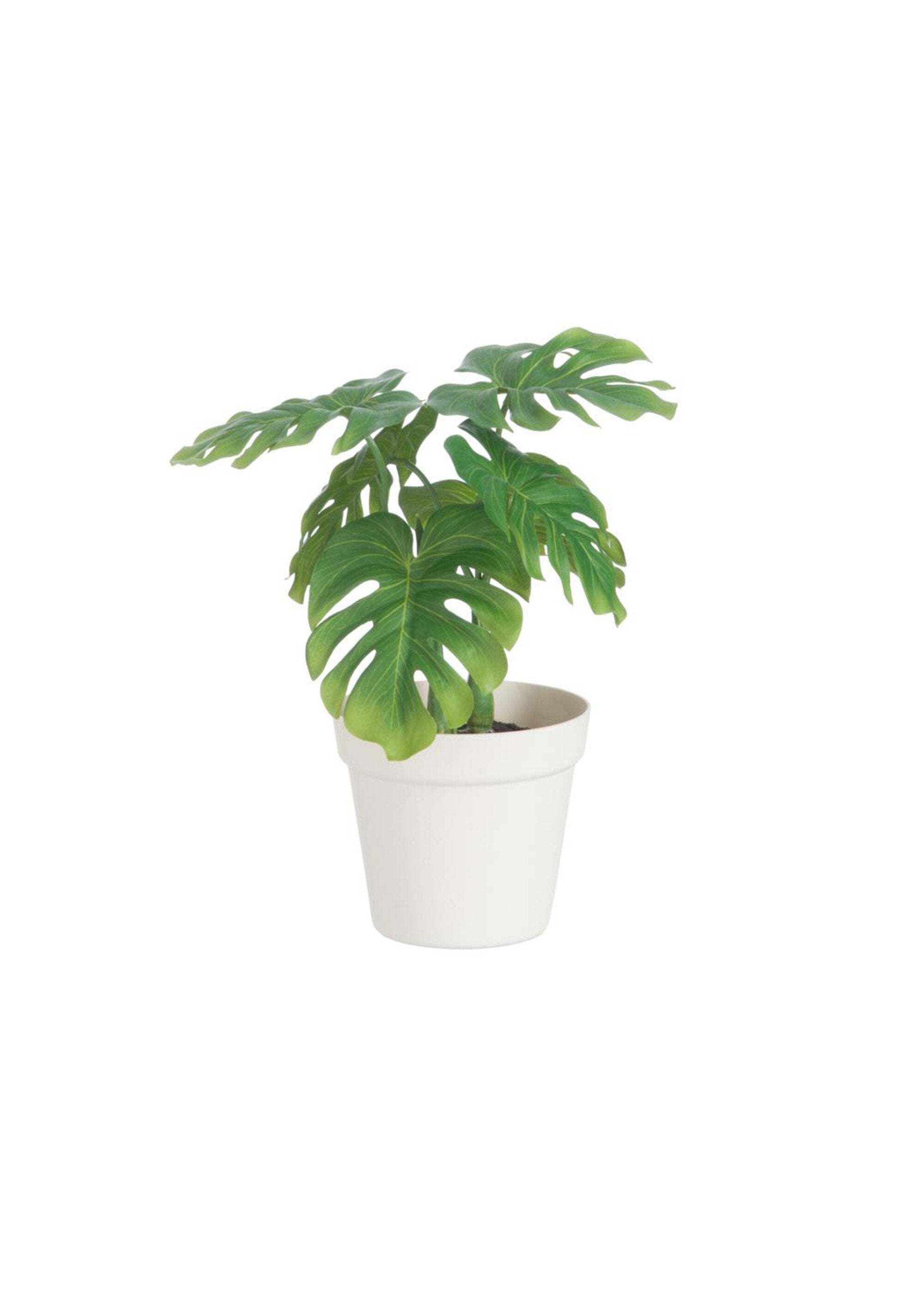 Green_fabric_plant_with_pot_Green_FA1_slim