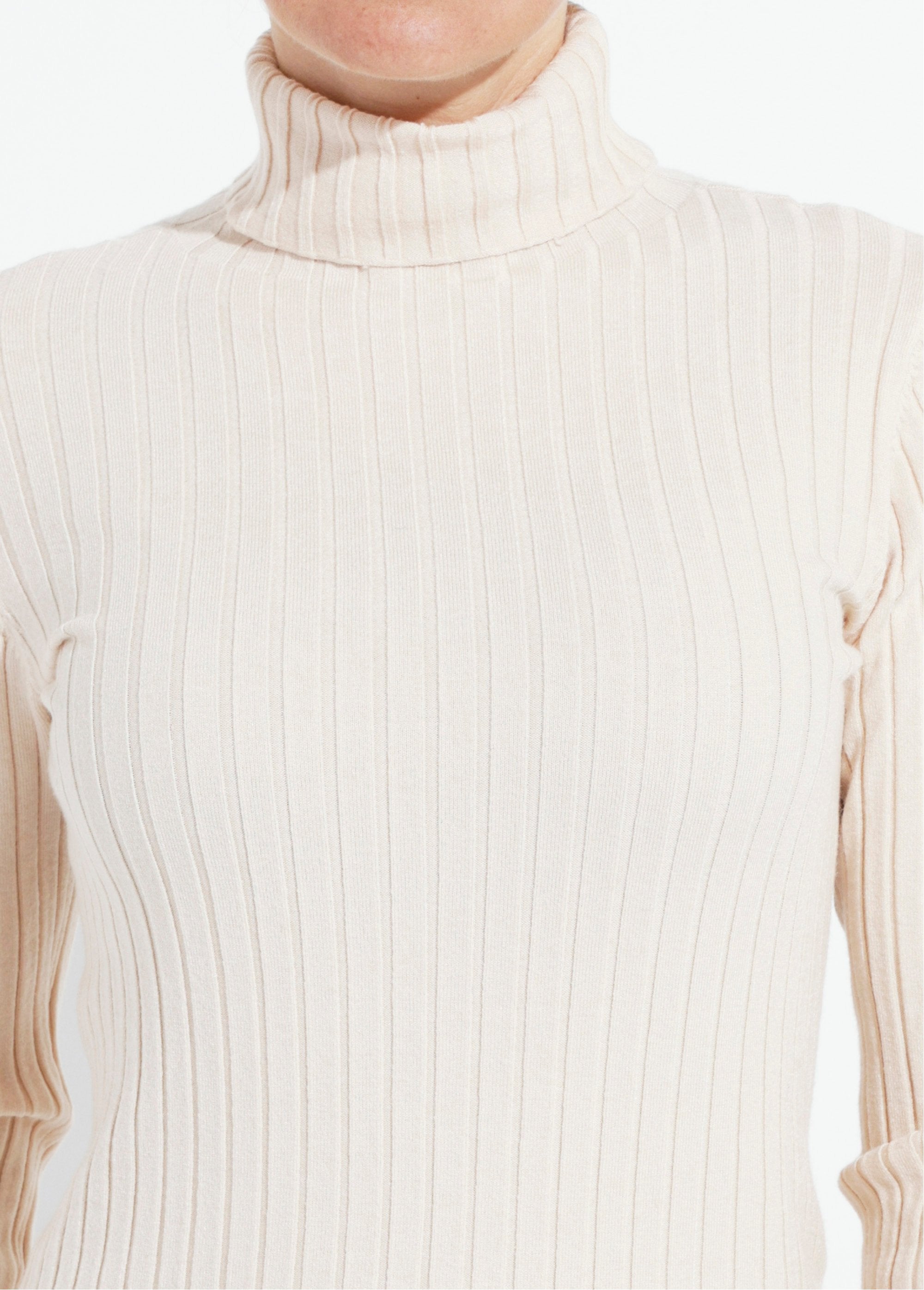 Pull_col_roulé_fin,_mailles_plates_Beige_DE1_slim